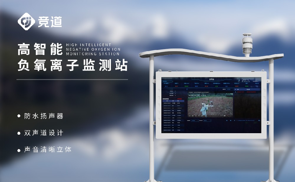 大气负氧离子监测系统
