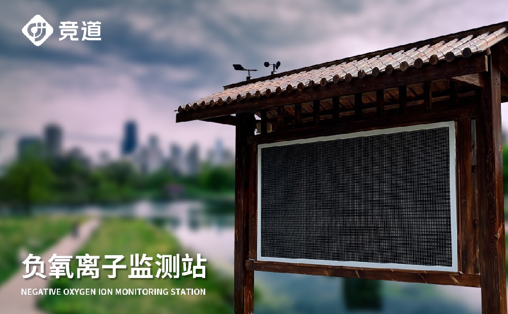 负氧离子监测系统 负氧离子监测系统